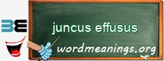 WordMeaning blackboard for juncus effusus